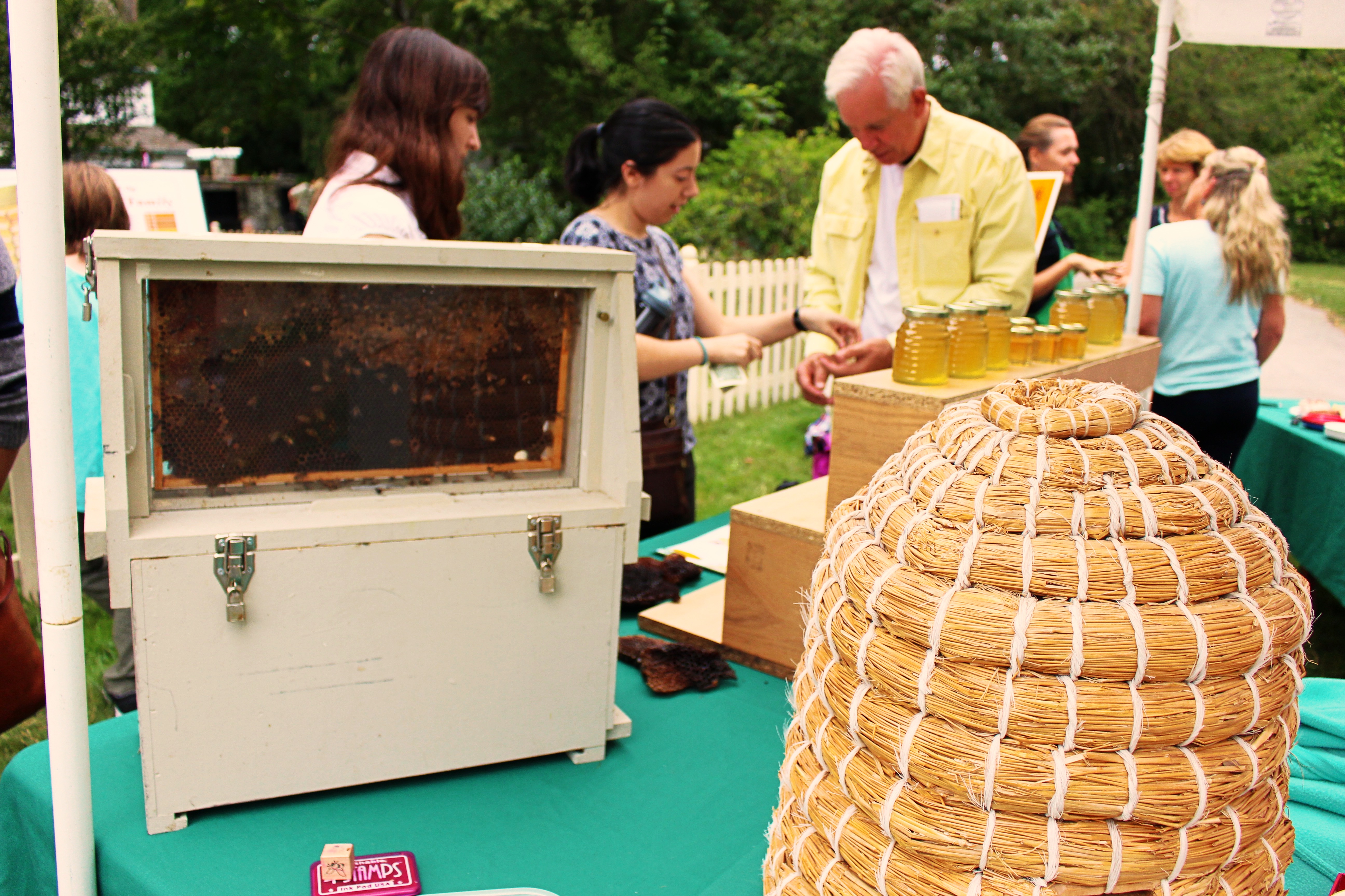 Beekeeping Demonstration/ H. Novak 