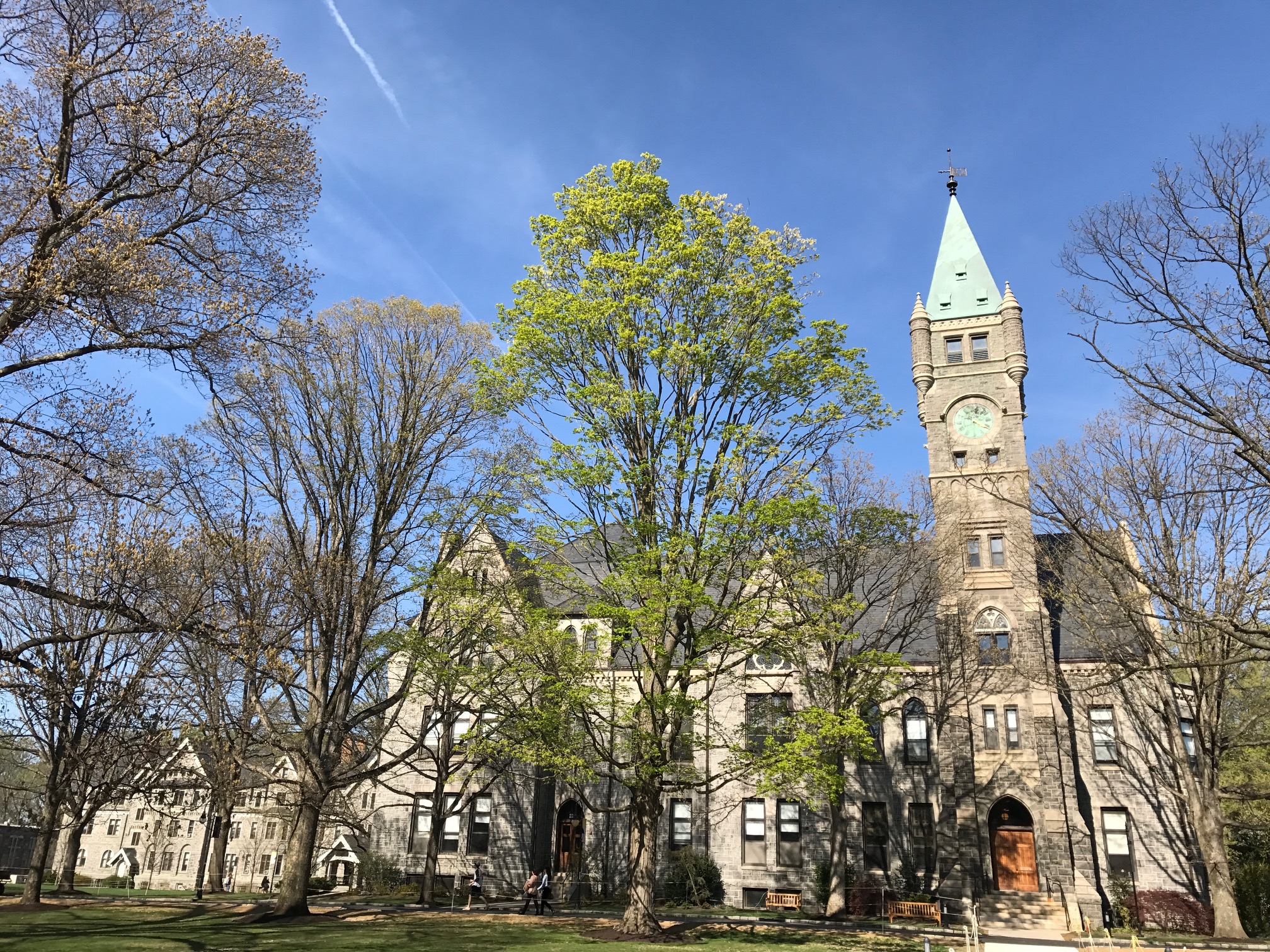 Springtime at Bryn Mawr and snapshots of our campus in all its glory ...